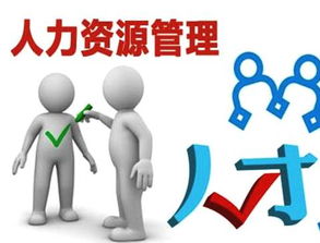 人力资源服务许可证的经营范围与申请条件详解